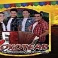 XOXOTEAR