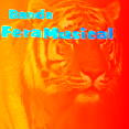 Fera Musical