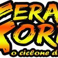 Banda Feras do Forro