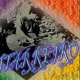 Guitarreiro