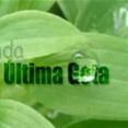 Última Gota
