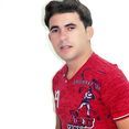 zezinho do brasil em ritmo romântic
