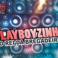 Playboyzinho O Rei da Bregadeira