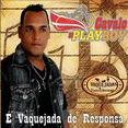 CAVALO DE PLAYBOY 2013