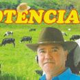 POTÊNCIA FORRÓ  E TOADA