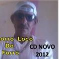 Cachorro Loco do Fórro