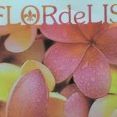 flor de lis