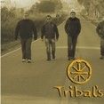 Banda Tribal's