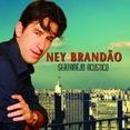 nei brandao sertanejo gospel