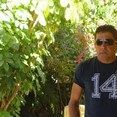 Nelson Dantas