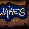 Wakes