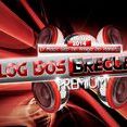 Blog Dos Bregueiros
