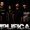 Amplifica
