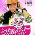 Patricat