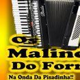 OS malinos Do Forro