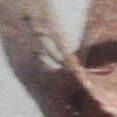eder paixao