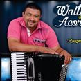 Waltinho do Acordeon