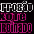 Banda Tradição Do Forró