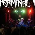 Terminal THC