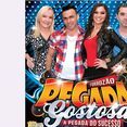 FORROZAO PEGADA GOSTOSA