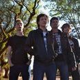 The Holligans