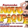 FORROZAO NOVO PIQUE