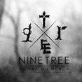 Ninetree Rock