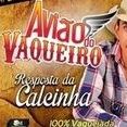 aviao do vaqueiro 2015