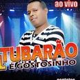 as top 2016val tubarao e gostosinho