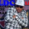 L D C LEVITA DE CRISTO