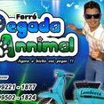 PEGADA ANNIMAL