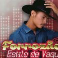 Forrozão Estilo De Vaqueiro