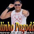 Nelinho Pagodão  O Novo Hit da Bahia