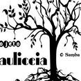 Grupo Paulicéia