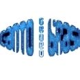 Grupo Canto Brasil