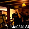 Macaco Alado