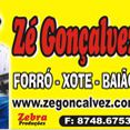 Zé gonçalvez, o poeta da filosofia