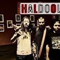 Haldool