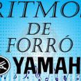 Robertinho Ritmos