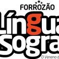 Forrozão Língua de Sogra