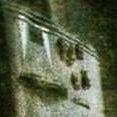 berg silva
