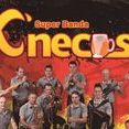 Banda Knecus