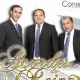 Acordes do Reino