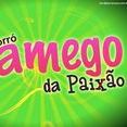 Forró Xamego da Paixão