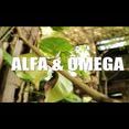 Ministério de Louvor ALFA & ÔMEGA