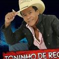 TONINHO DE RECIFE o fera do forro
