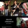 ANJUS URBANUS