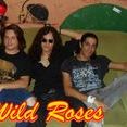 Wild Roses