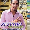 Zezinho O Malandrinho Do Forró