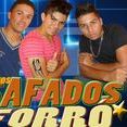 OS SAFADOS DO FORRÓ a magia do sucesso